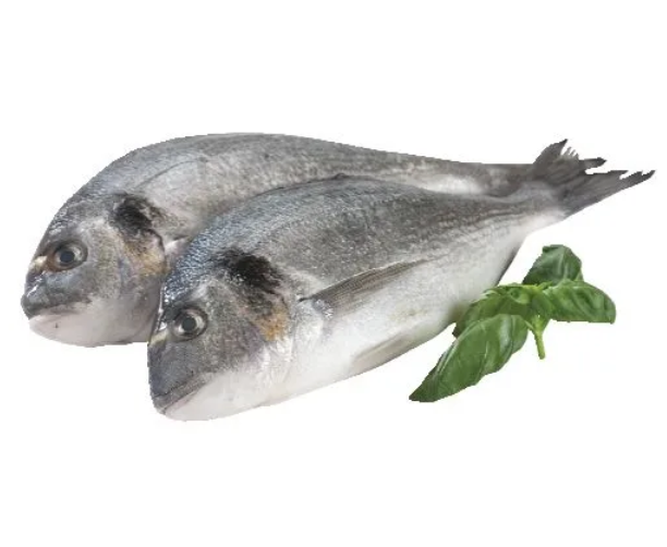 Ryby a mořské plody