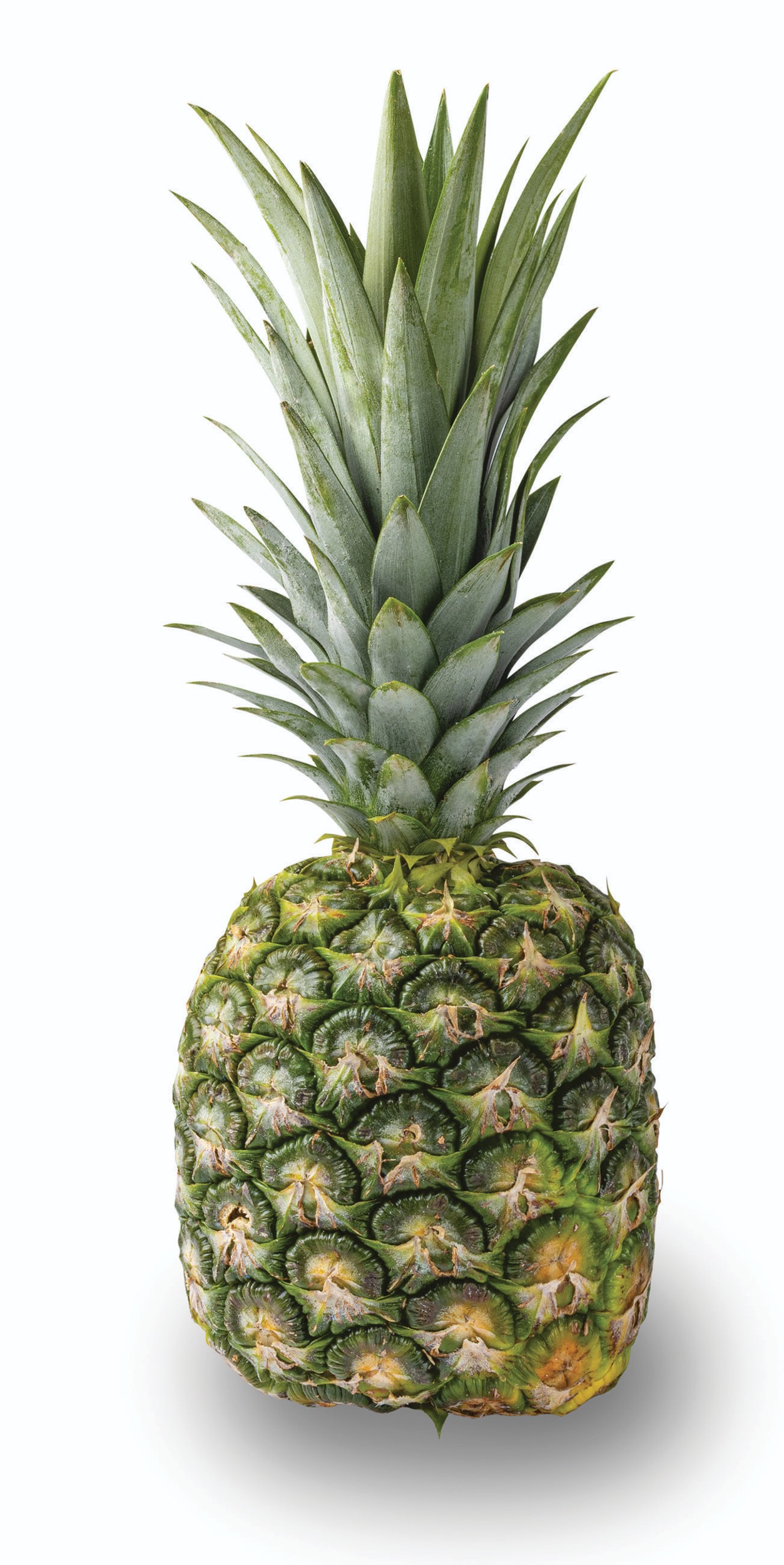 Ovoce a zelenina - Ananas velký 1 ks