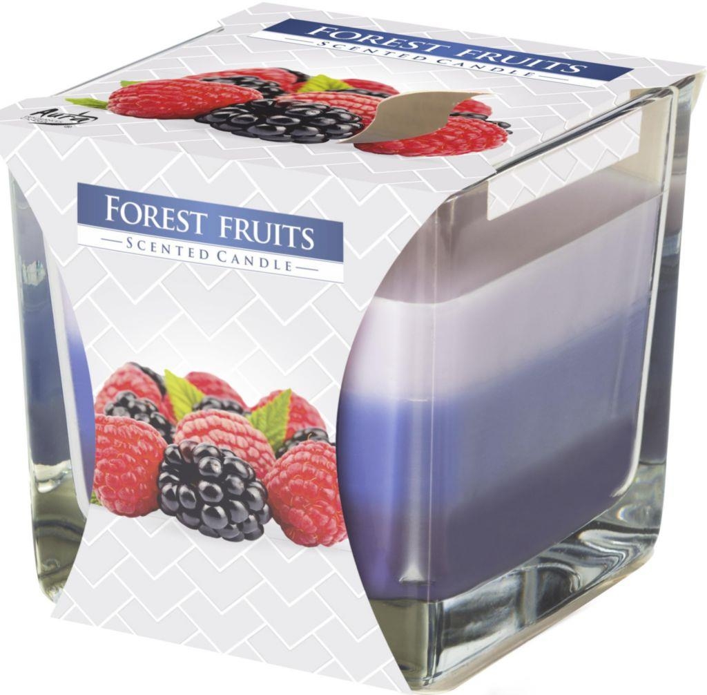 Domácnost a Zahrada - Aura Svíčka tříbarevná Forest Fruit