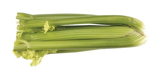 Ovoce a zelenina - BIO Celer řapíkatý balený 1ks