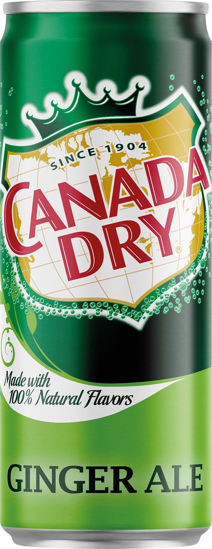 Nápoje - Canada Dry 0,33l CAN Sleek