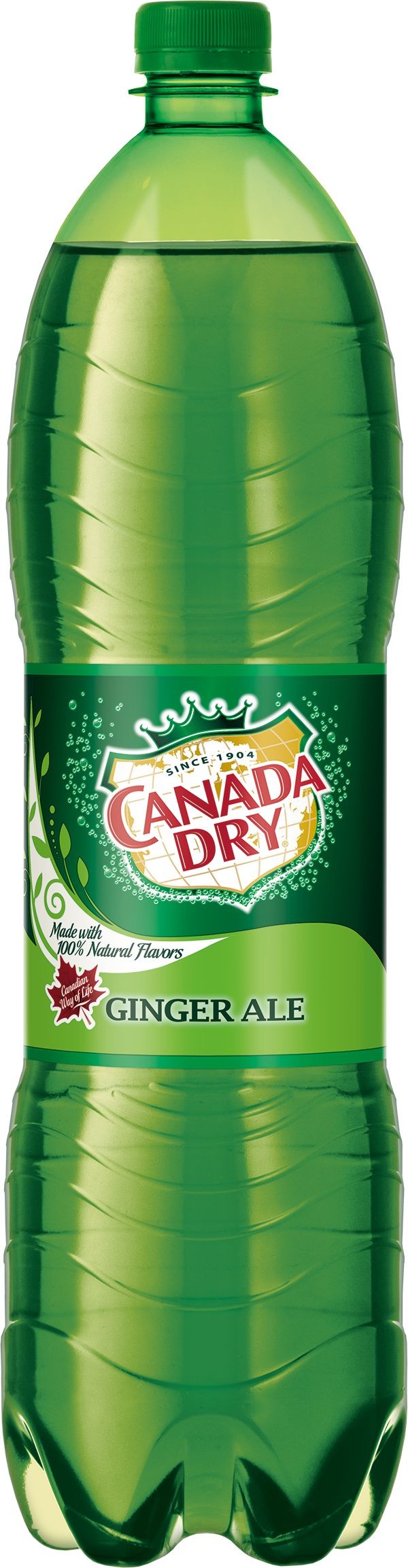 Nápoje - Canada Dry 1,5l PET