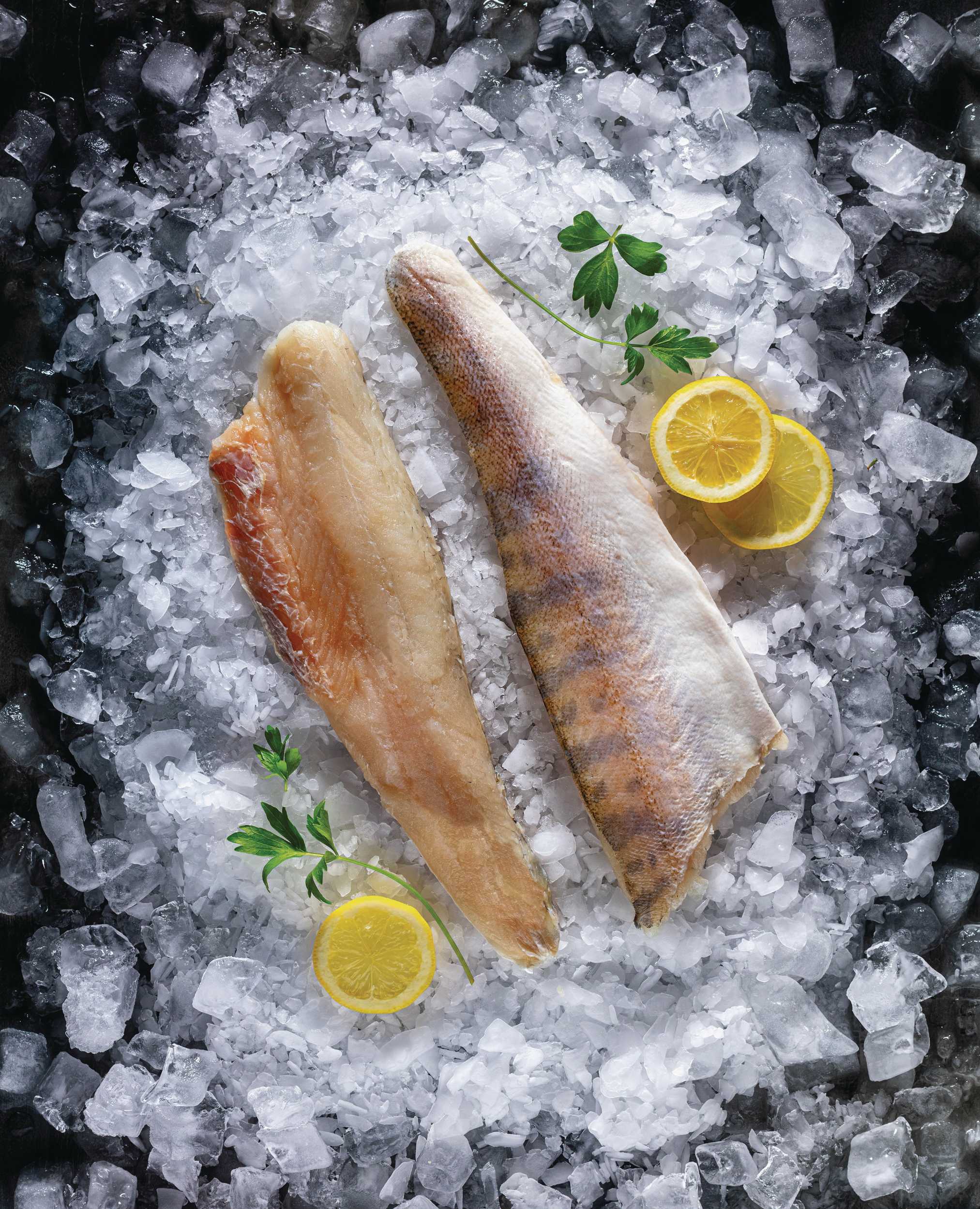 Candát filet s kůží - cca 250 g-0