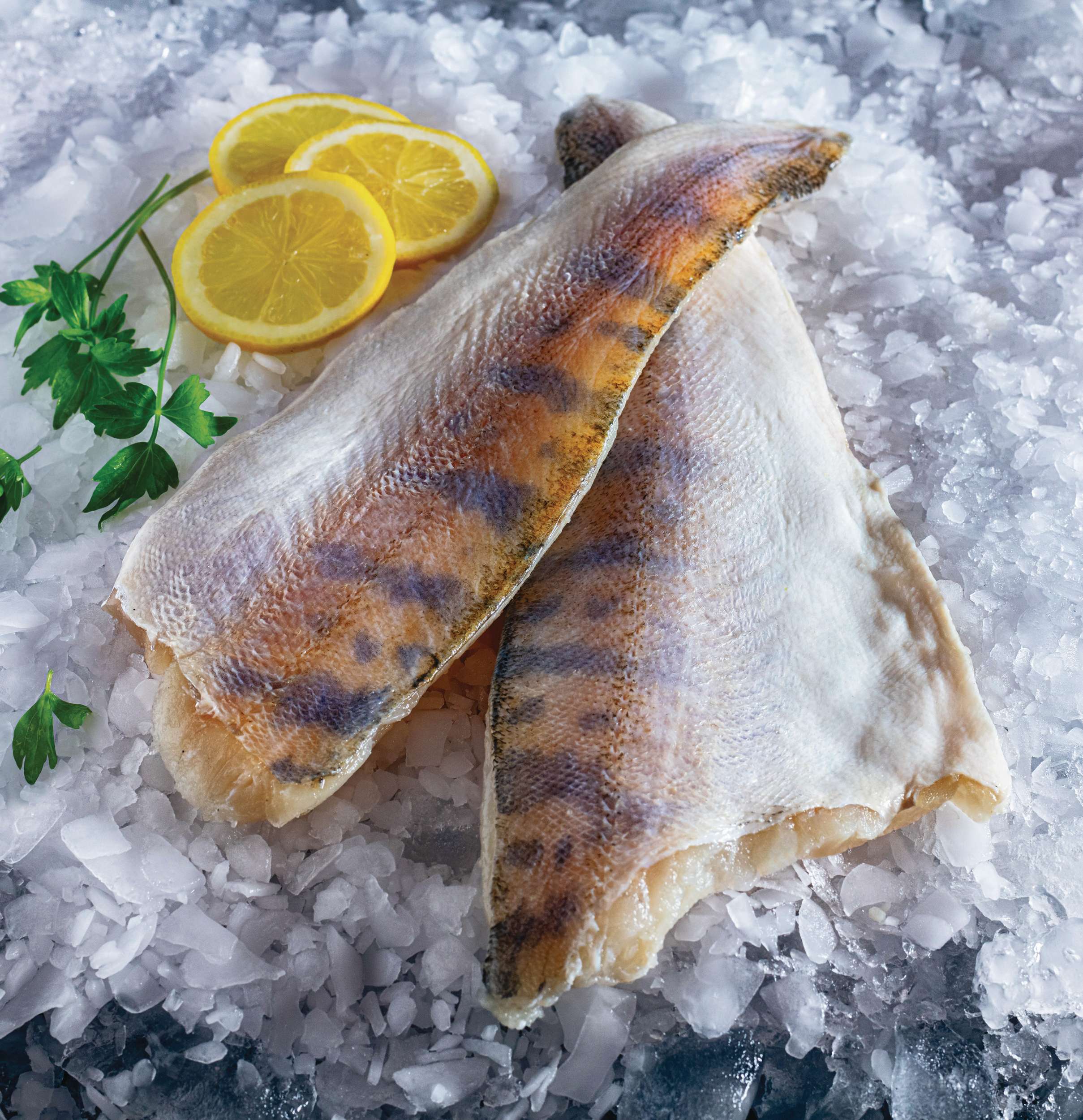 Candát filet s kůží - cca 250 g-2