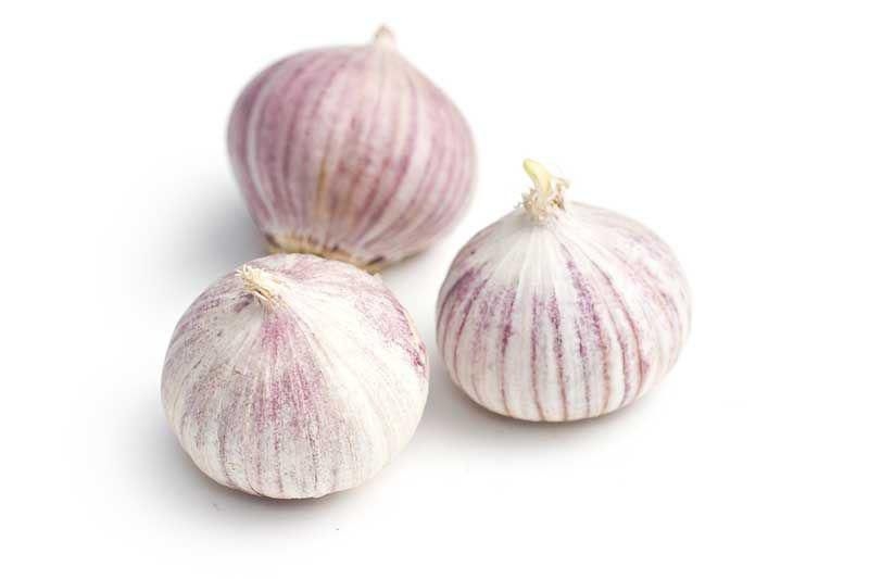 Ovoce a zelenina - Česnek jednostroužkový 250 g