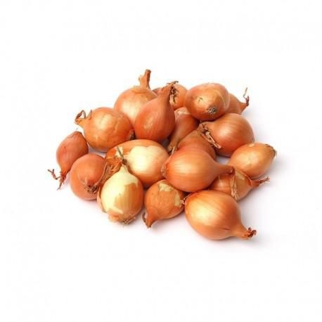 Ovoce a zelenina - Cibule šalotka 500 g