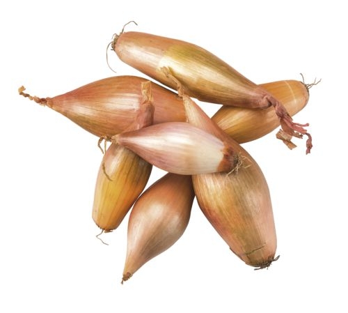 Ovoce a zelenina - Cibule šalotka banánová 250 g