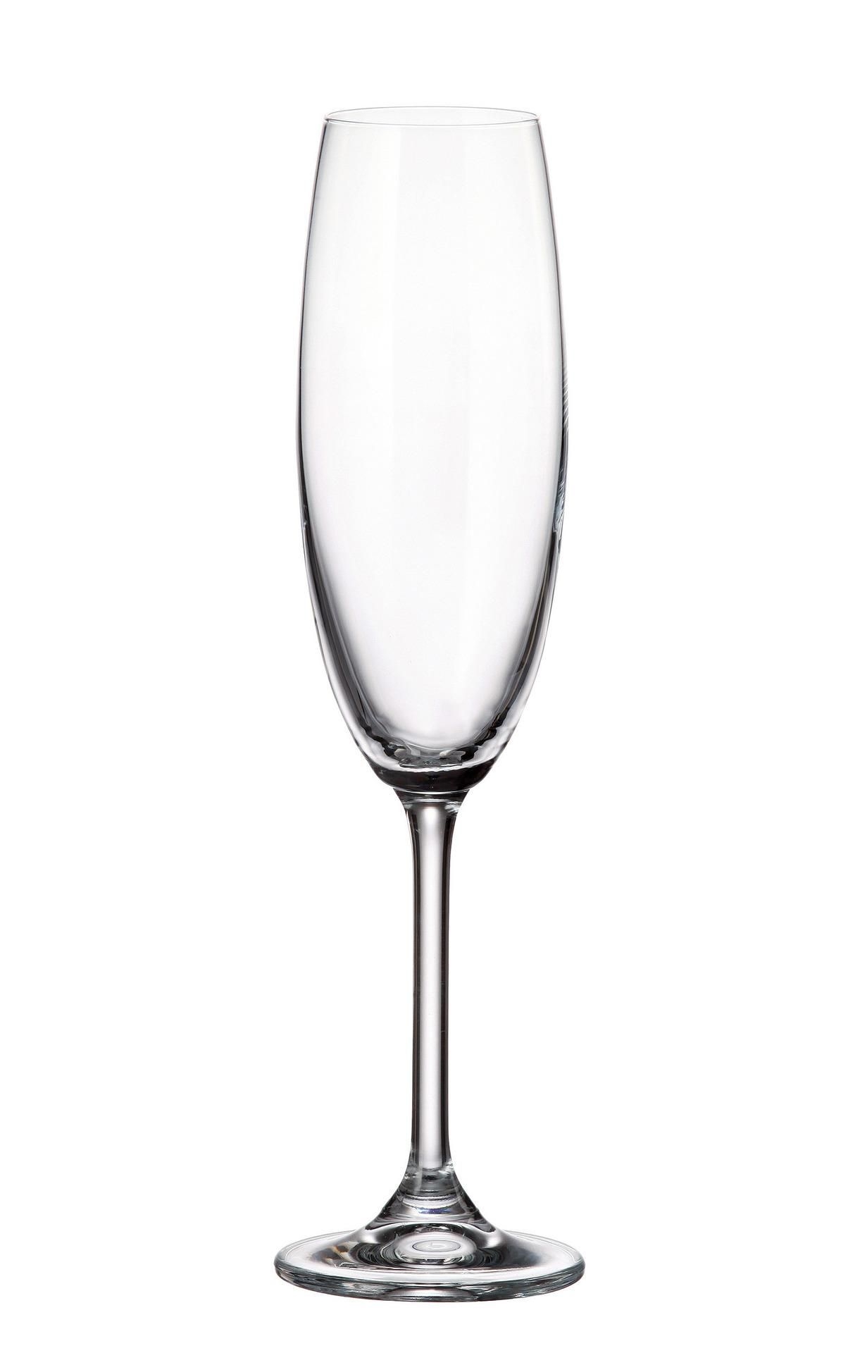 Domácnost a Zahrada - Crystal Bohemia Sklenice na šampaňské Colibri 220ml 6 ks