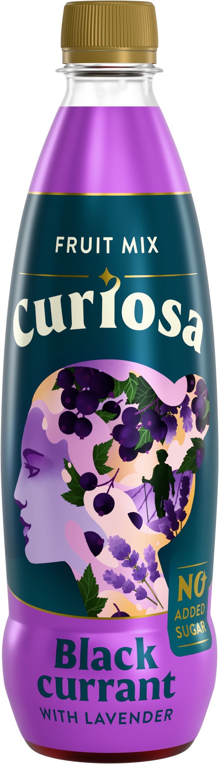 Nápoje - Curiosa černý rybíz s levandulí 0,5l