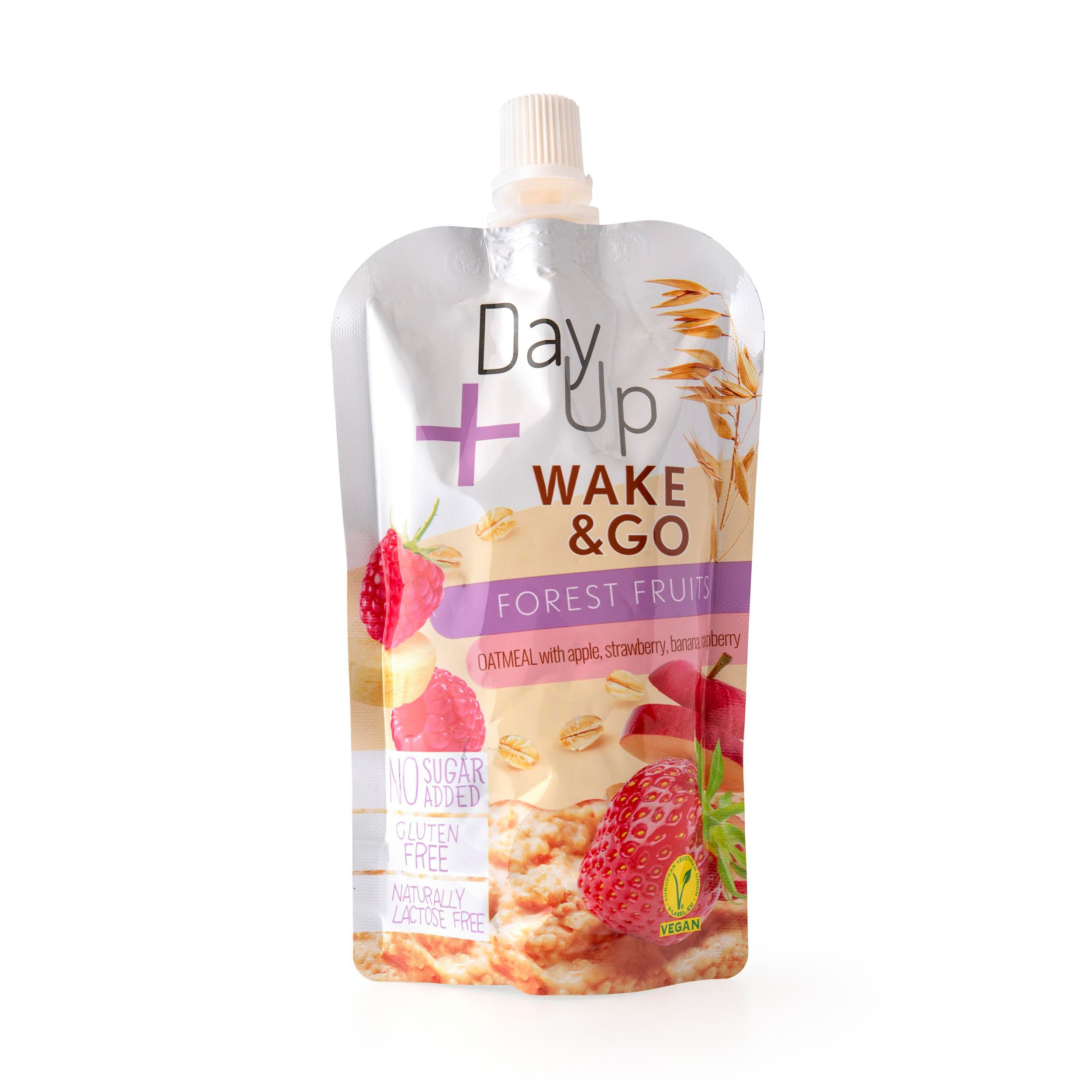 Zdravý svět - Day up Dezert ovocný lesní ovoce a oves - kapsička 120 g