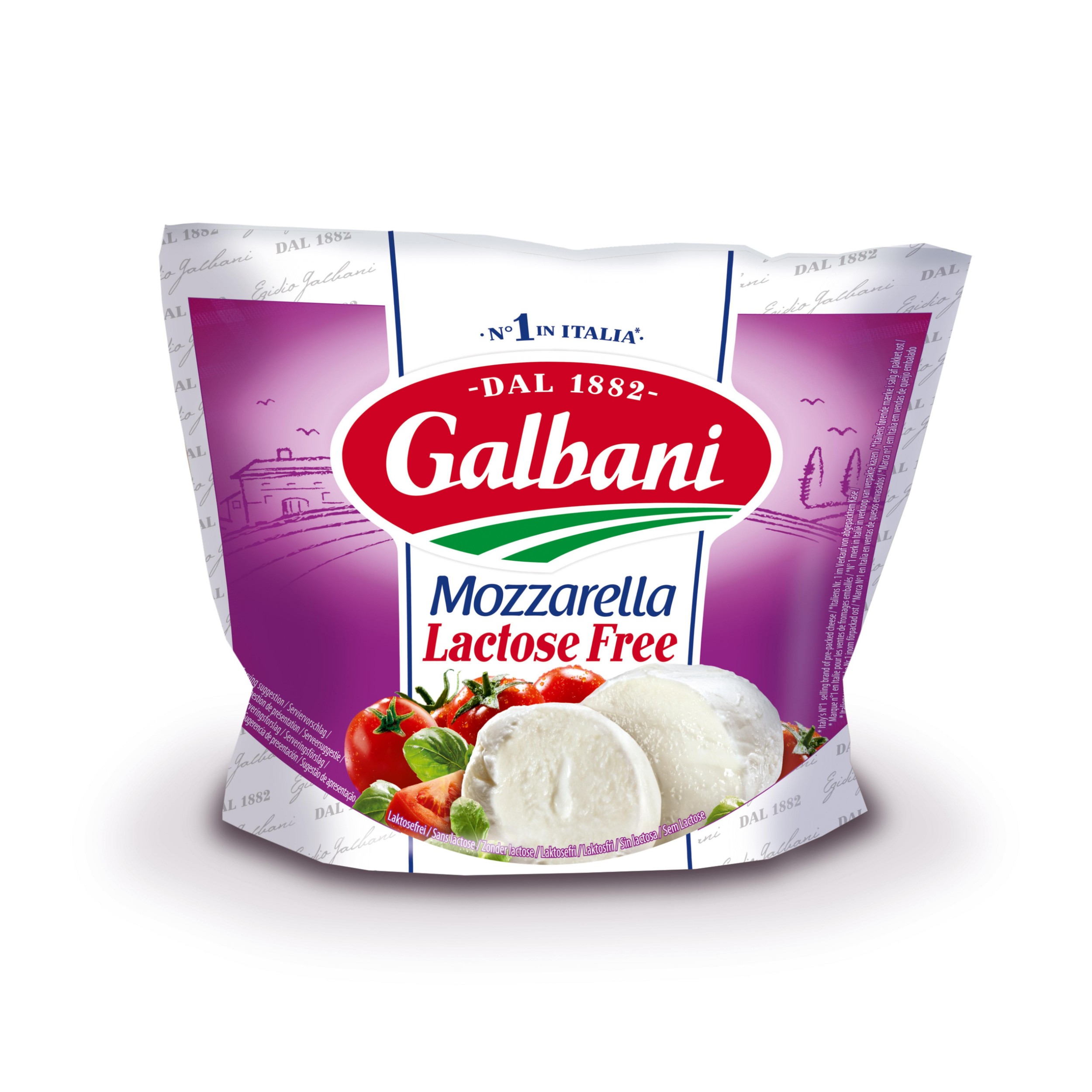 Mléčné a chlazené - Galbani Mozzarella Lactose Free 100 g