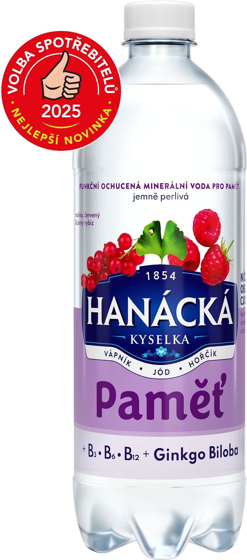 Nápoje - Hanácká kyselka pamět 0,7l PET