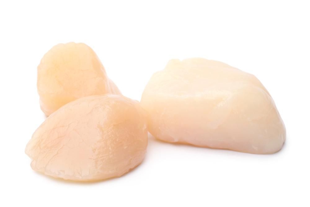 Ryby a mořské plody - Hřebenatka - cca 150 g
