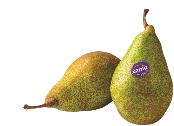 Ovoce a zelenina - Hrušky Xenia - cca 300 g
