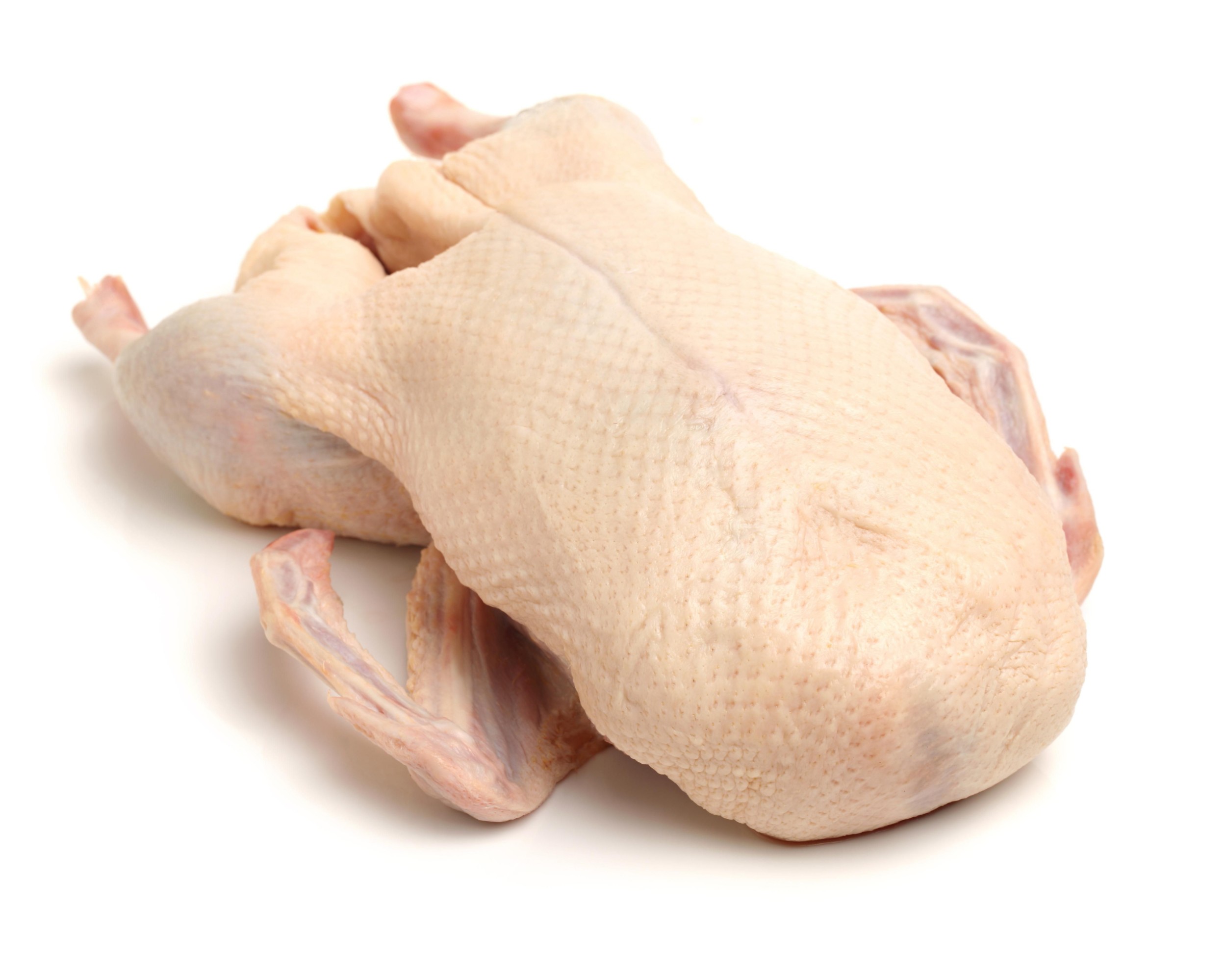 Mražené potraviny - Husa s droby mražená 3,6 kg