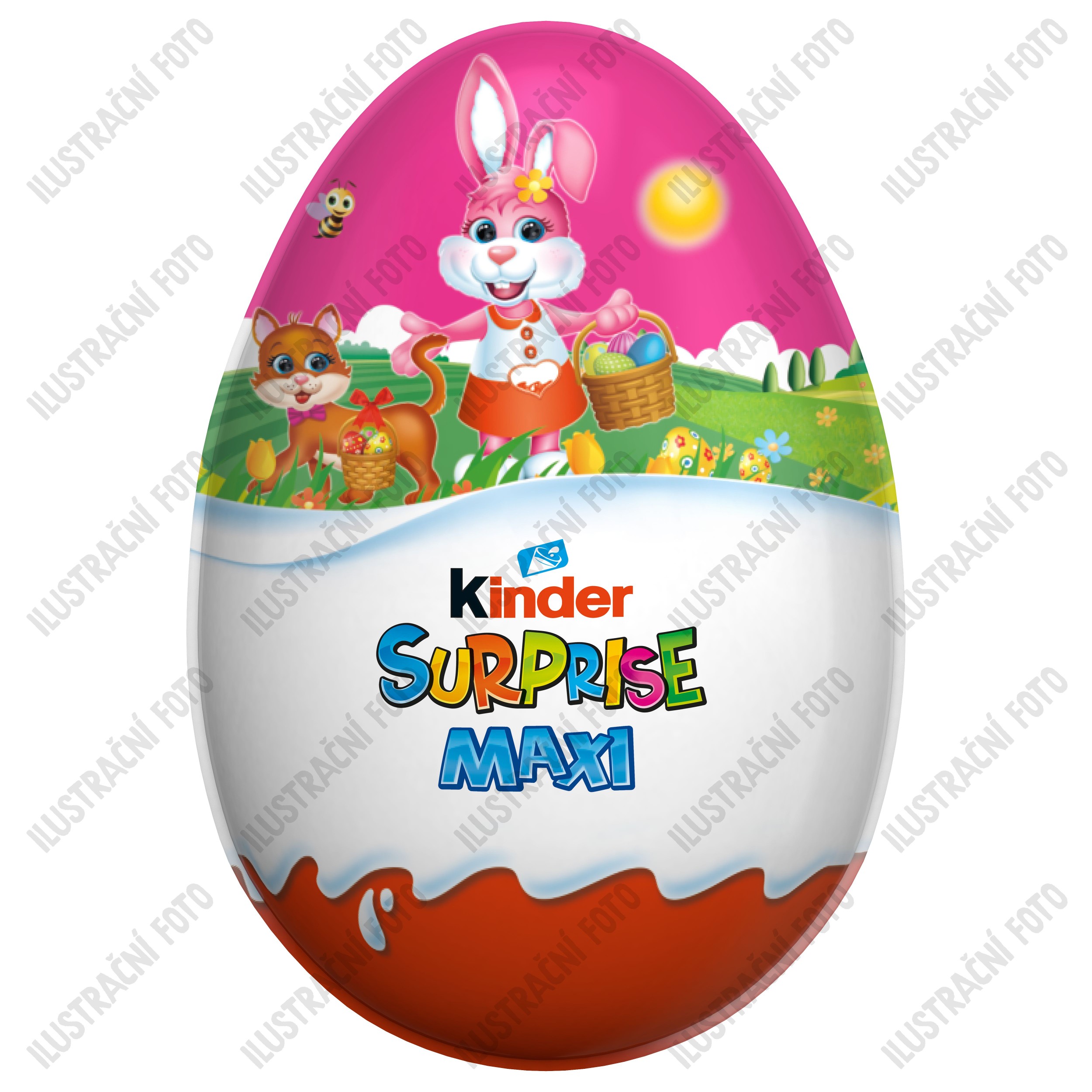 Kinder Surprise Maxi různé motivy  220g-0