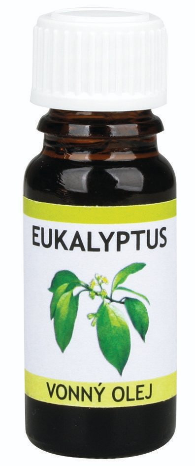 Domácnost a Zahrada - Kozák Vonný olej esence Eukalypt 10 ml
