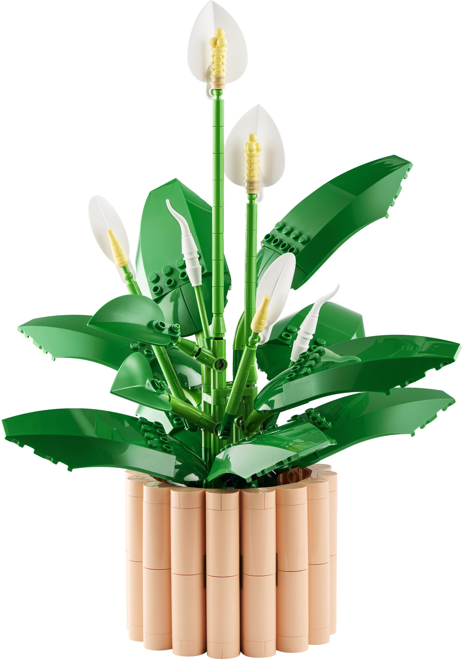LEGO® Botanicals 11504 Lopatkovec-0