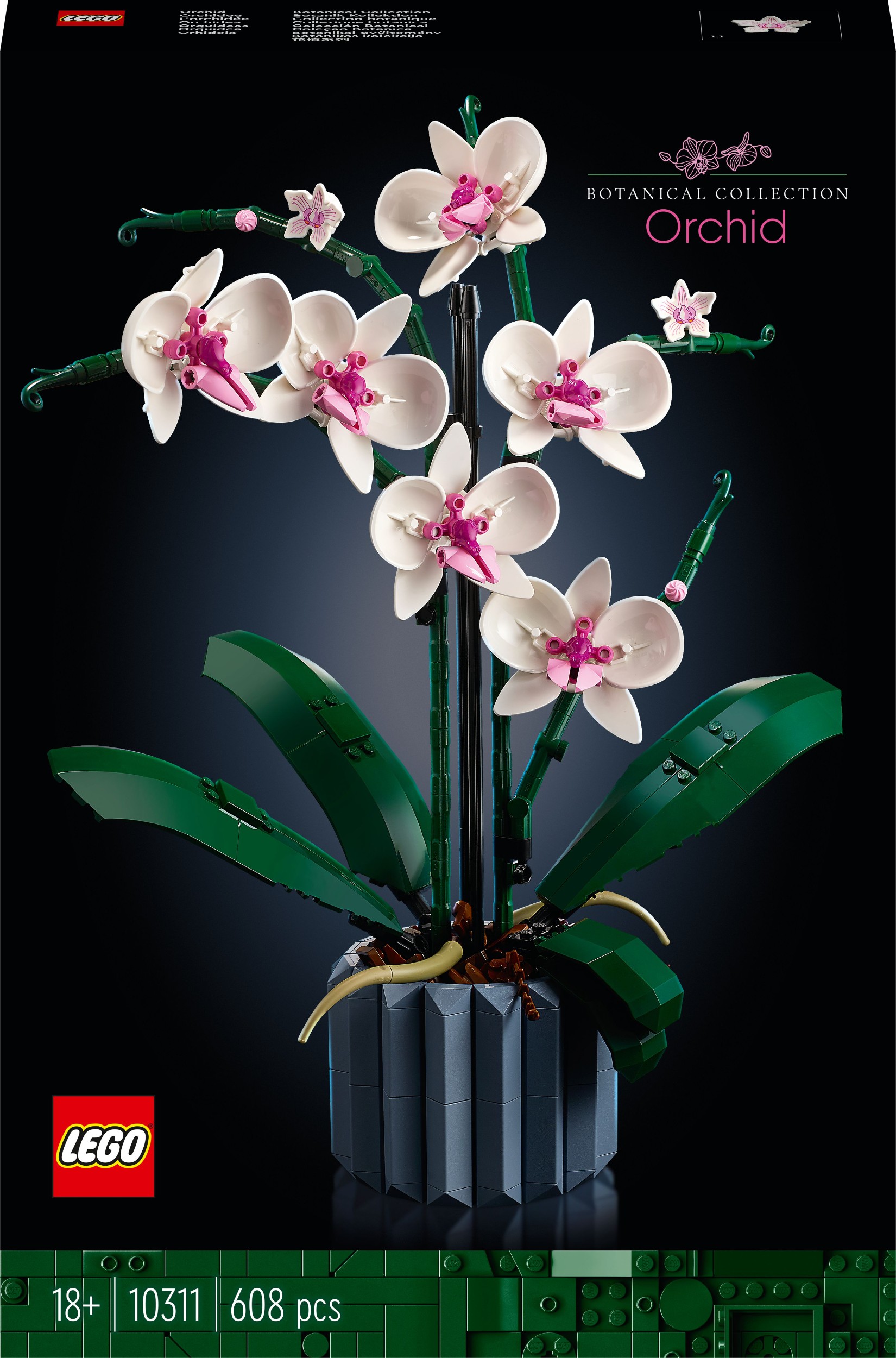 Svět dětí - LEGO® Icons 10311 Orchidej