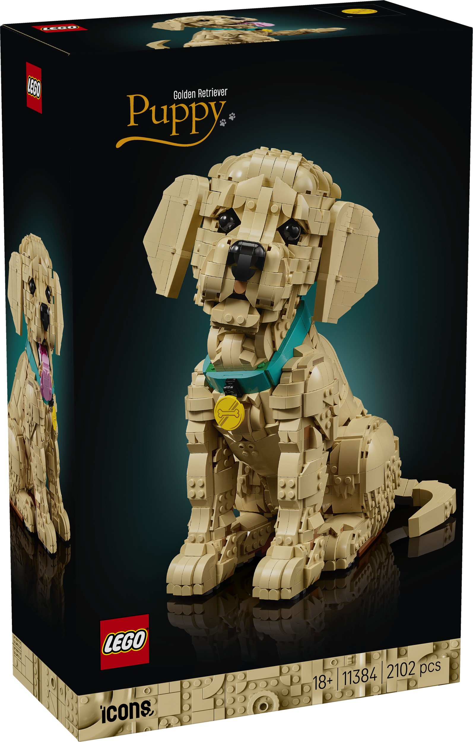Svět dětí - LEGO® Icons 11384 Štěně zlatého retrívra