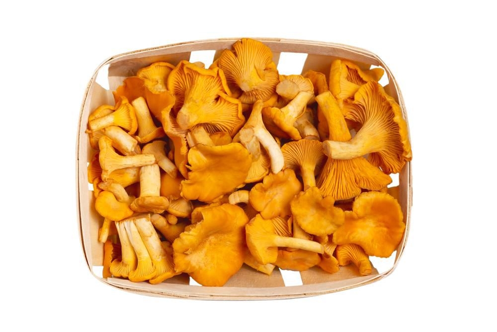 Ovoce a zelenina - Liška obecná čerstvá balená 150g