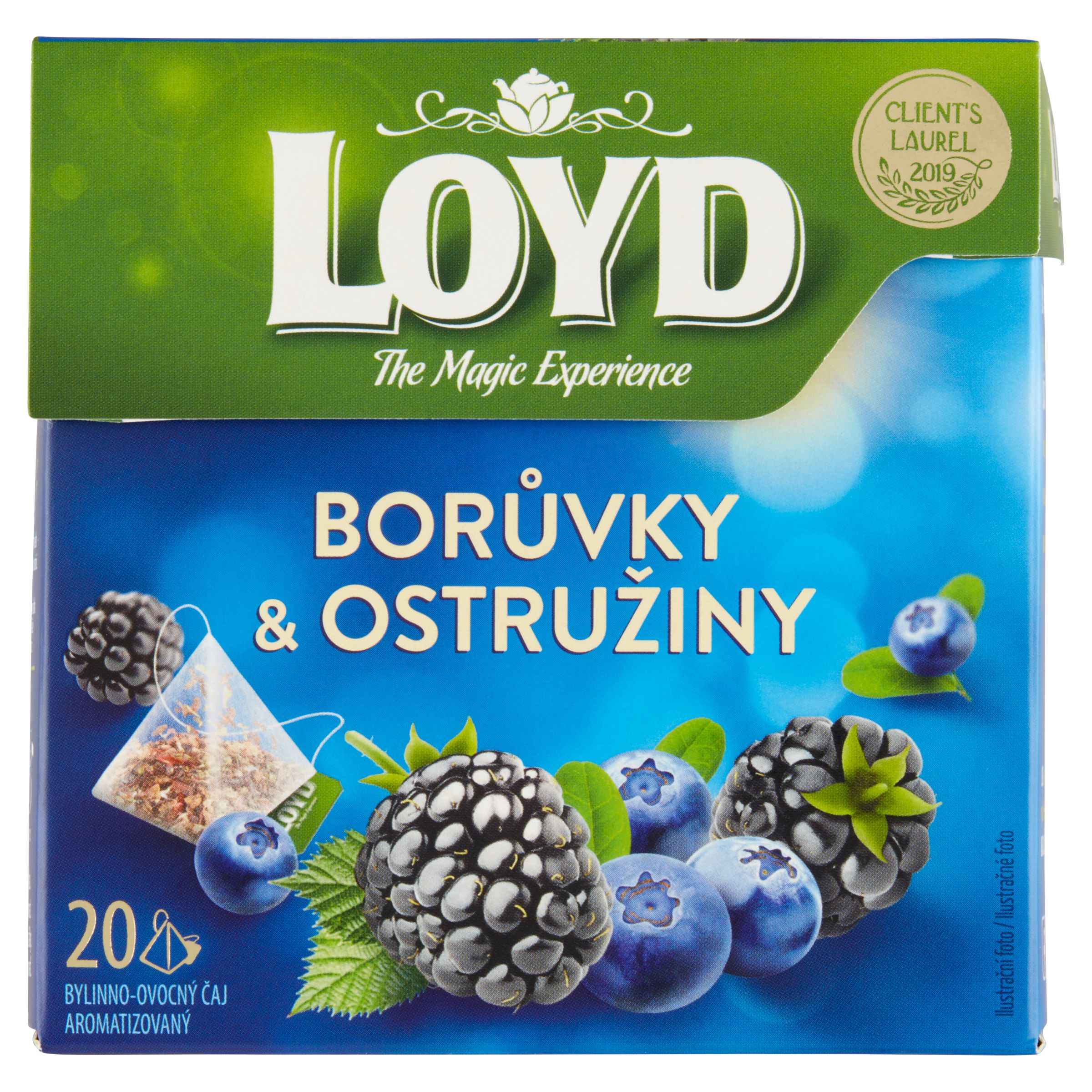 Nápoje - Loyd Byllinno-ovocný čaj aromatizovaný borůvky & ostružiny 20 x 2g