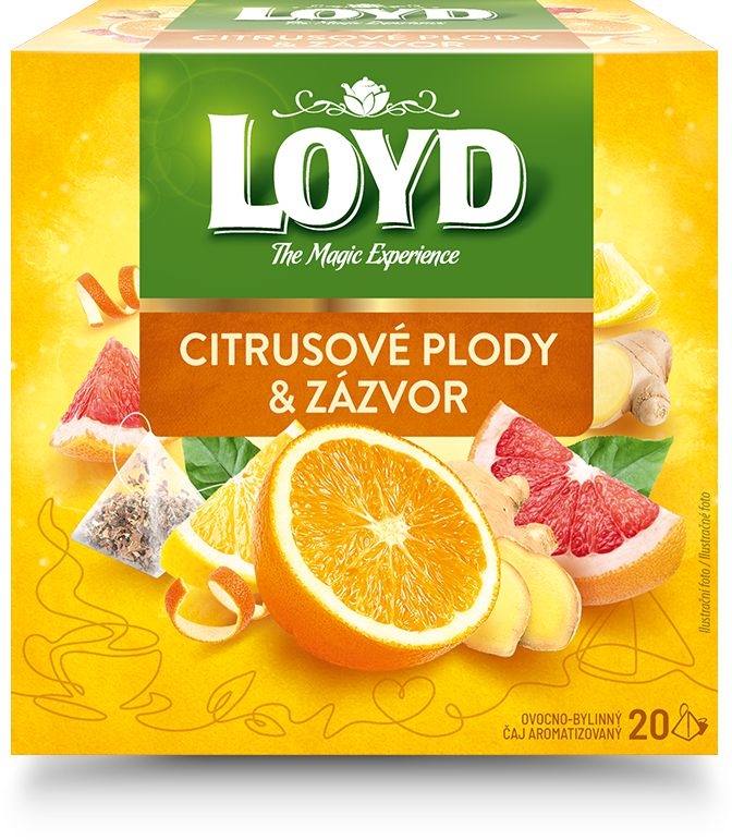 Nápoje - Loyd Pyramida Natur Ginger & Citrus Fruits Bylinno - ovocný čaj aromatizovaný porcovaný s příchutí zázvoru a citrusových plodů 20x2 g