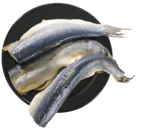 Uzeniny a lahůdky - Marinovaný sleď - cca 1000 g