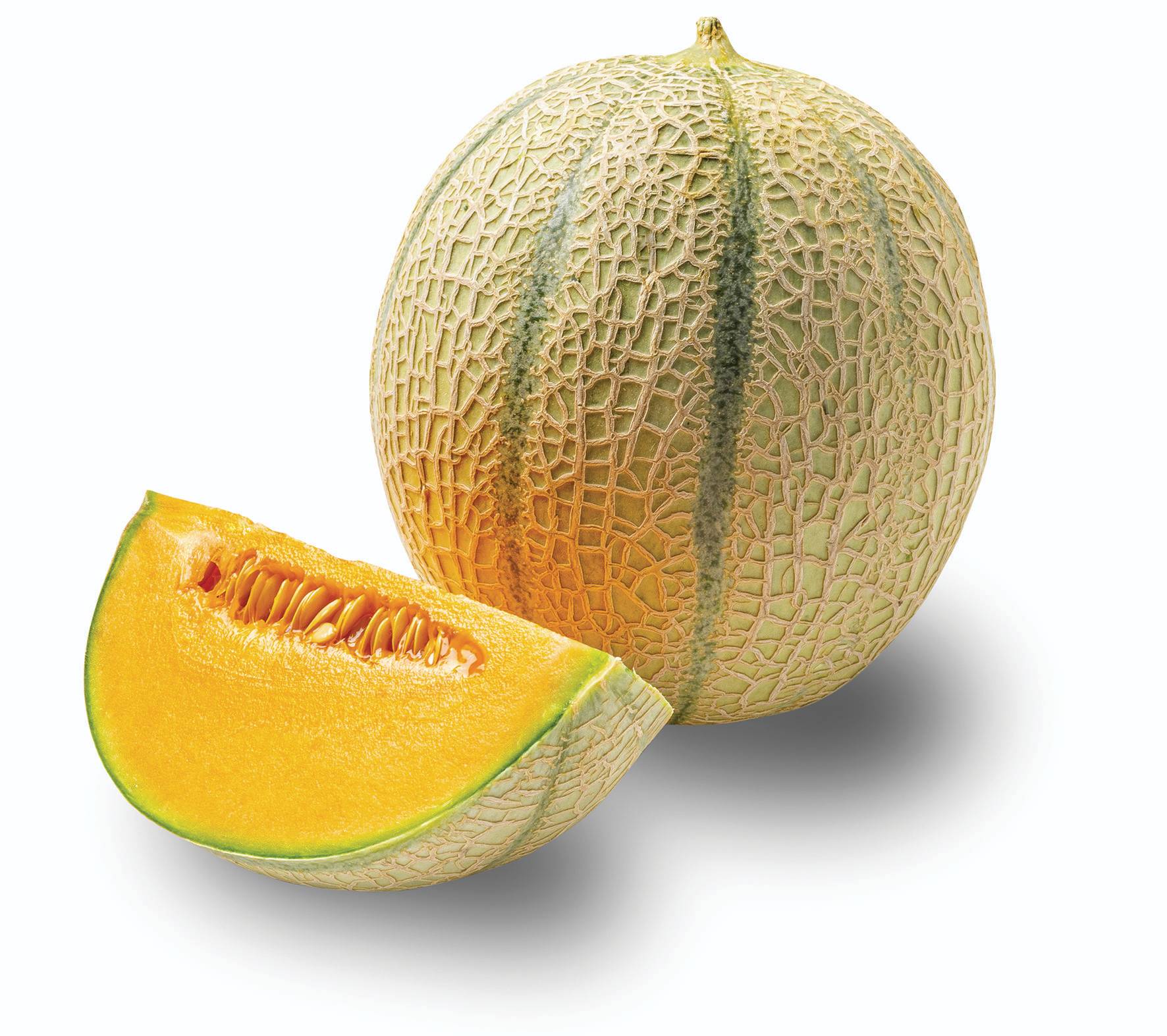 Ovoce a zelenina - Meloun cukrový Cantaloupe - cca 1200 g