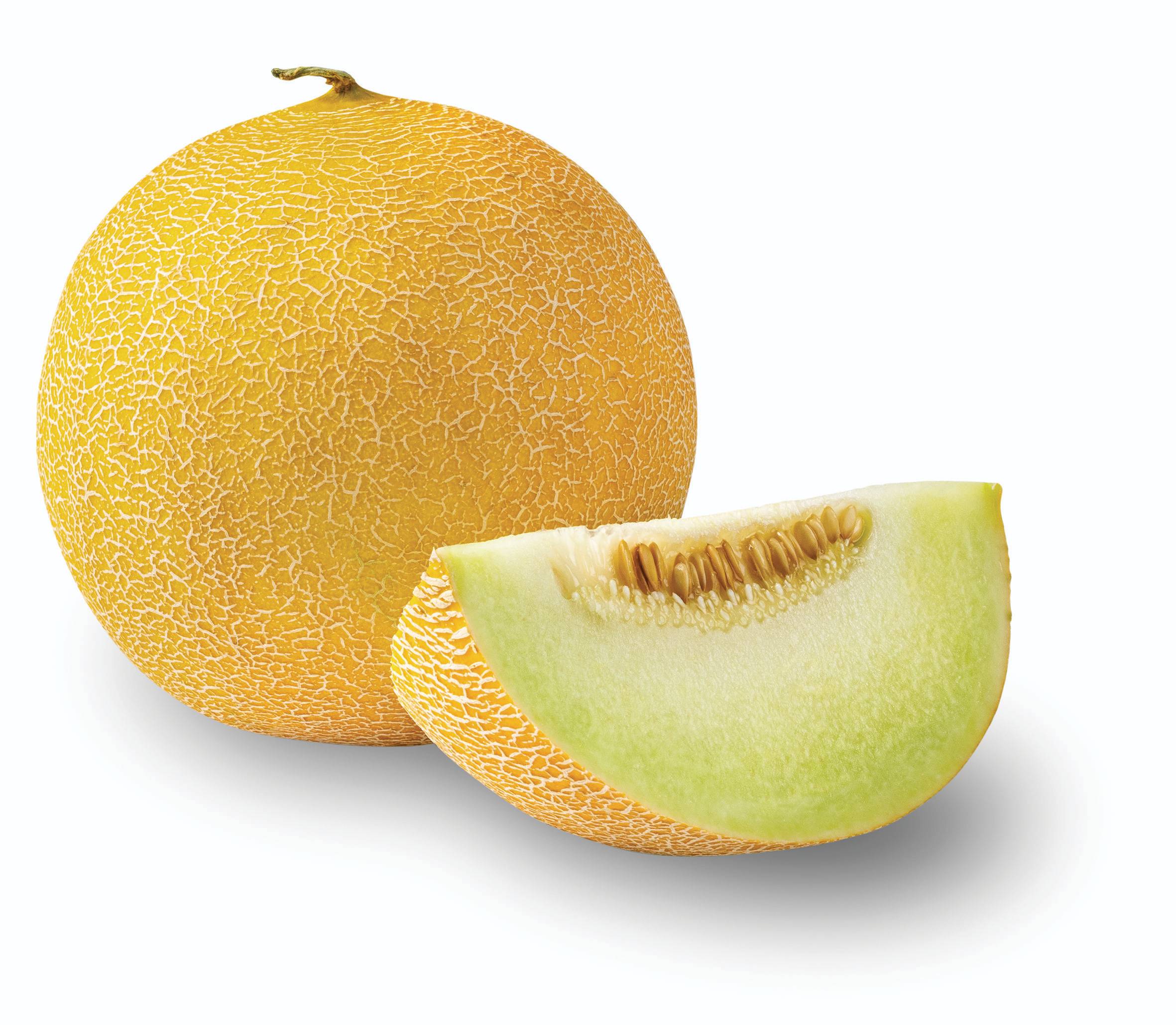 Ovoce a zelenina - Meloun cukrový Galia - cca 1180 g