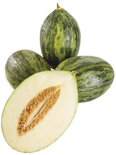 Ovoce a zelenina - Meloun cukrový Piel de Sapo - cca 2000 g