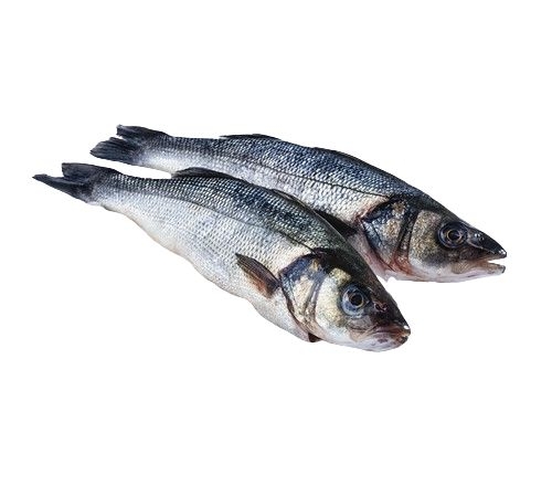 Ryby a mořské plody - Mořský vlk celý kuchaný - cca 300 g