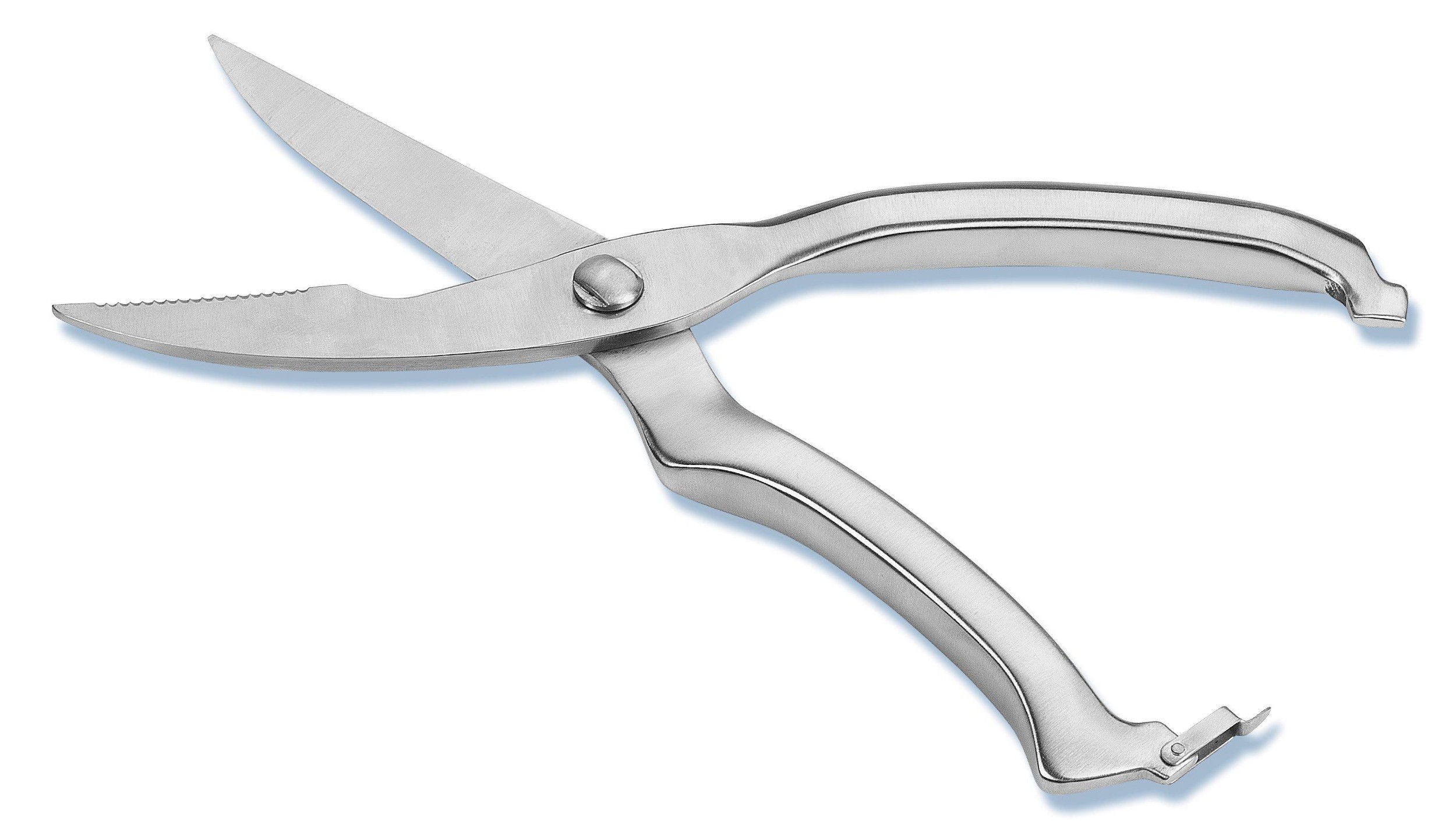 Domácnost a Zahrada - Nirosta Nůžky na drůbež 24cm, nerez