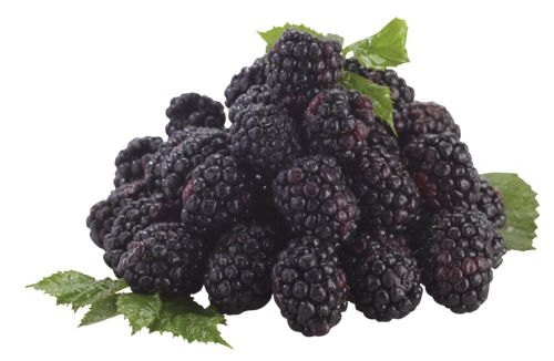 Ovoce a zelenina - Ostružiny balené 125 g