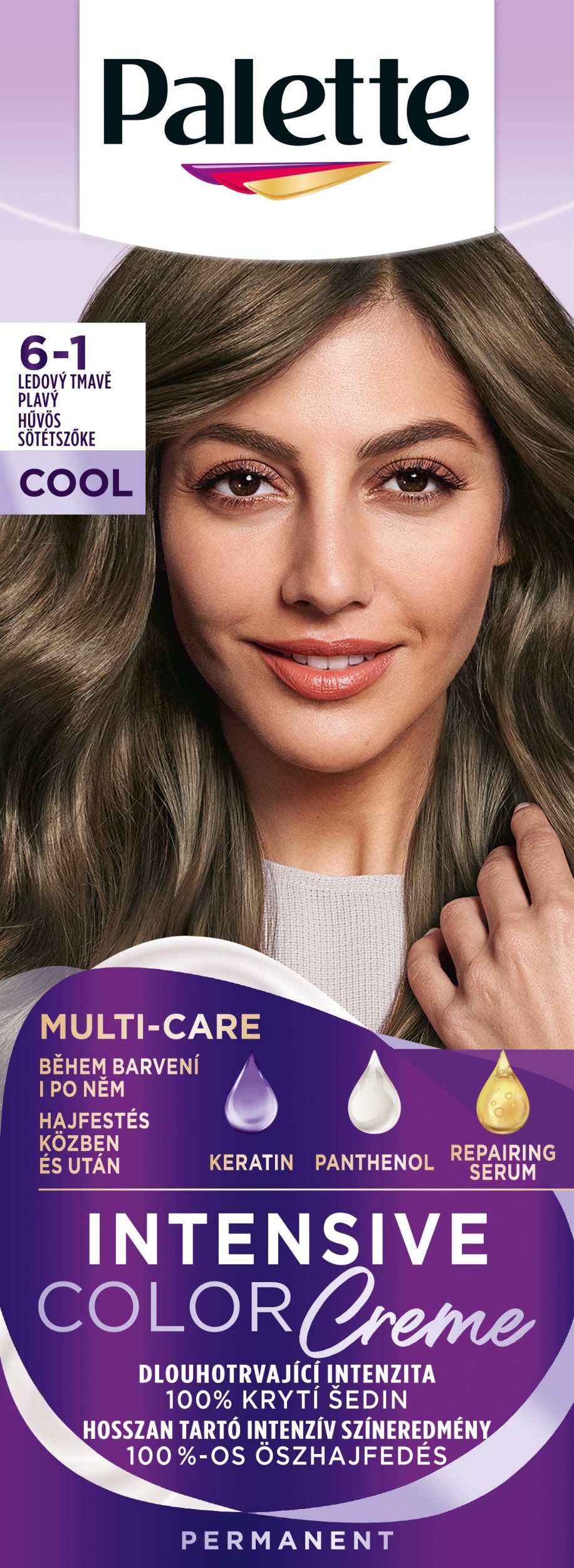 Drogerie a kosmetika - Palette ICC 6-1 Ashy Dark Blonde 50 ml