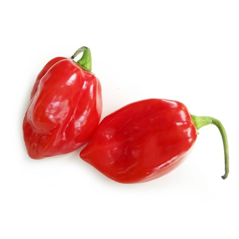 Ovoce a zelenina - Papriky chilli Habanero 50 g