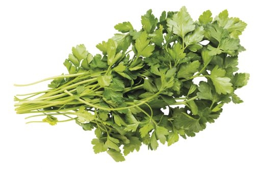 Ovoce a zelenina - Petržel hladká nať balená 50g