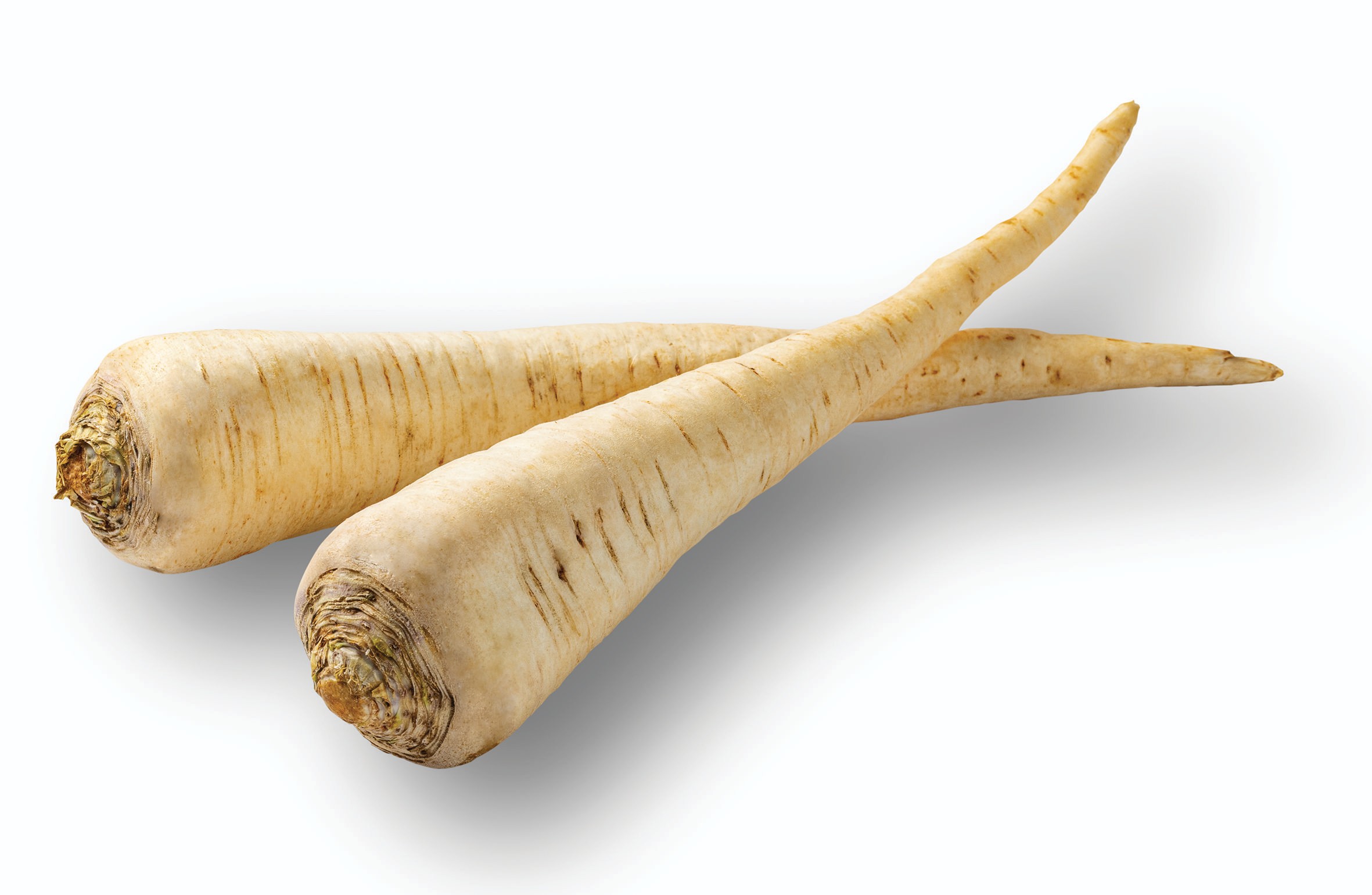 Ovoce a zelenina - Petržel kořenová volná - cca 500 g