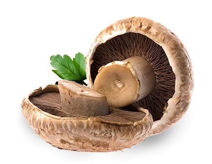 Ovoce a zelenina - Portobello 220 g