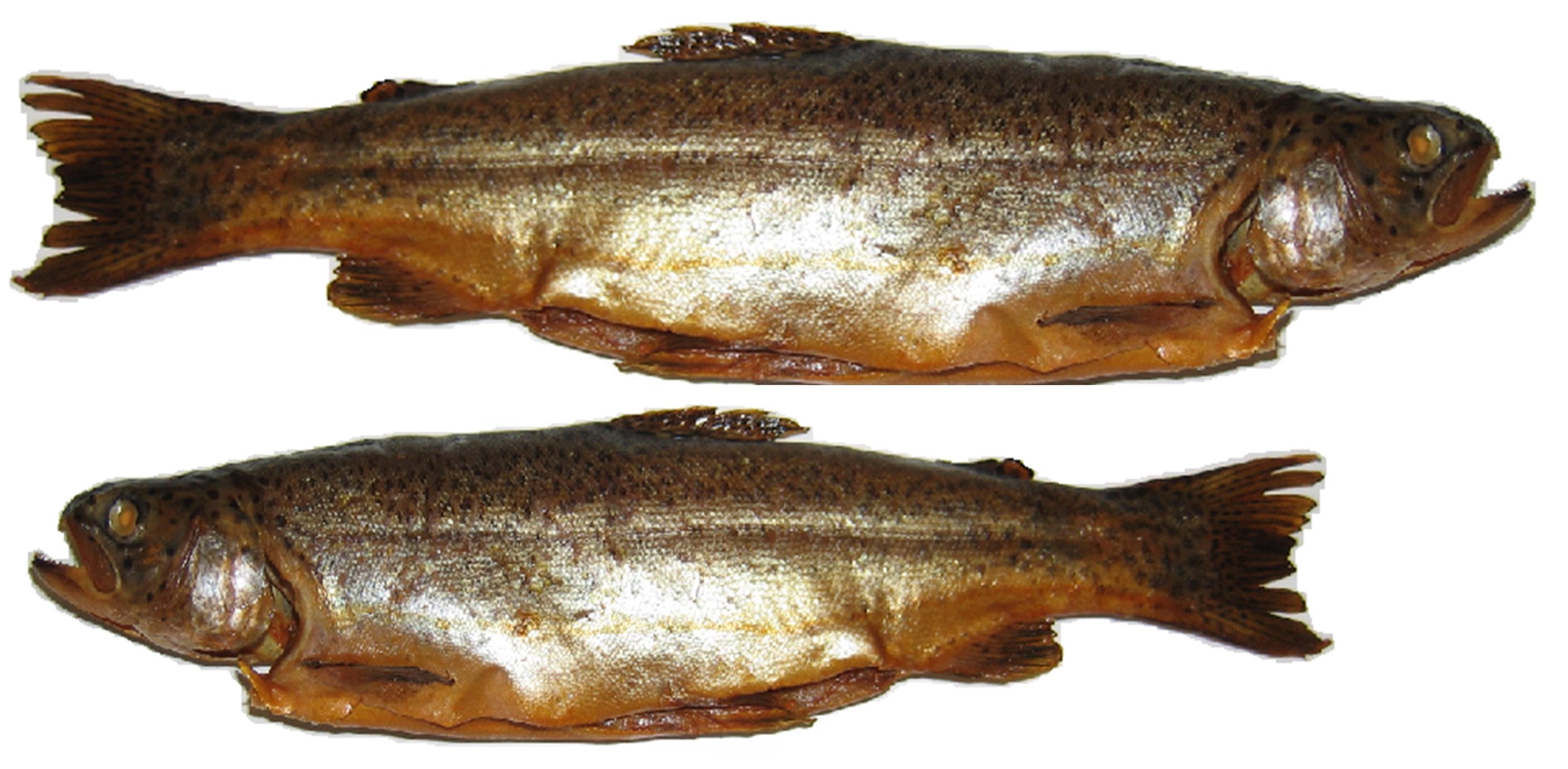 Uzeniny a lahůdky - Pstruh uzený - cca 185 g