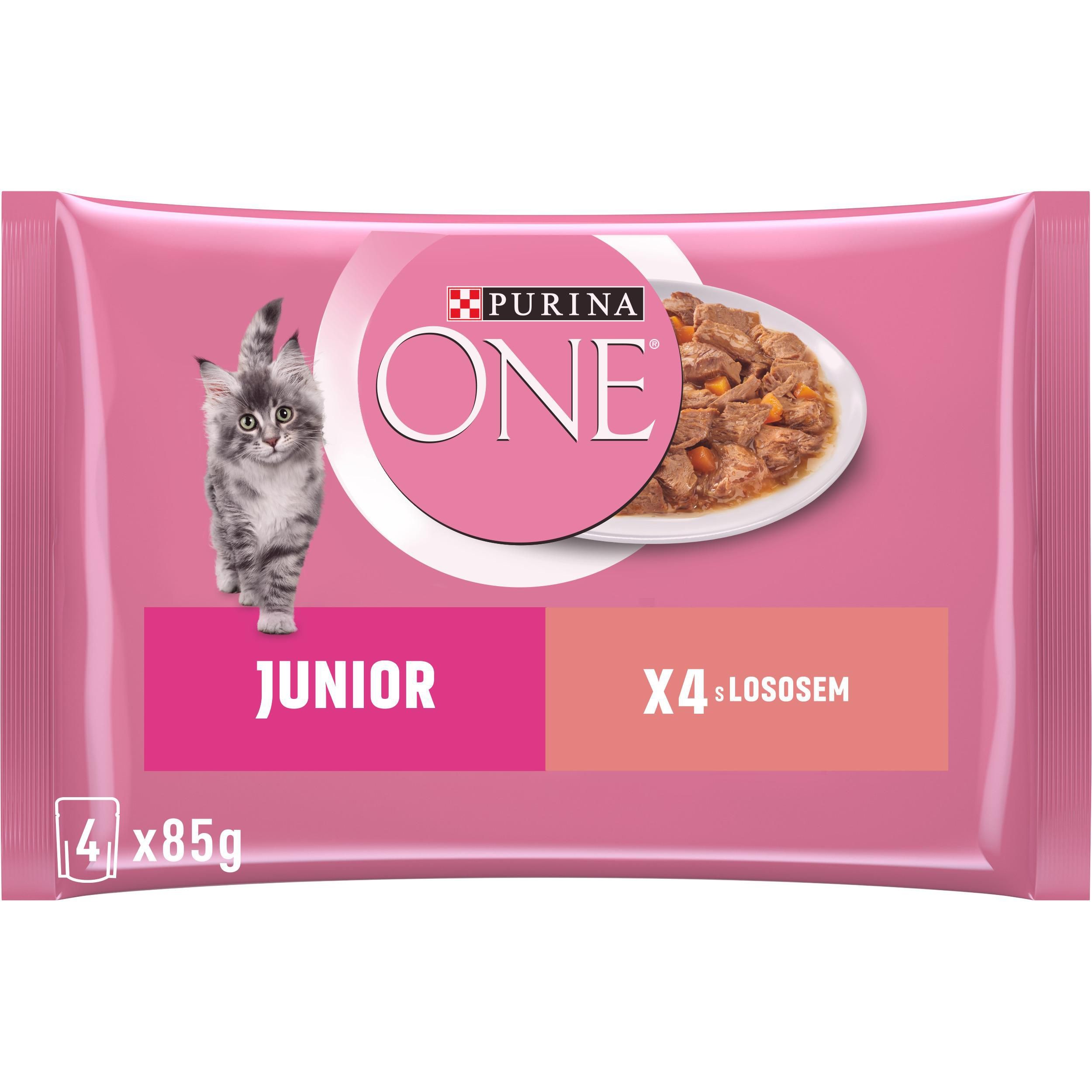Svět zvířat - Purina ONE JUNIOR kapsičky - multibalení s lososem a mrkví ve šťávě 4 x 85g