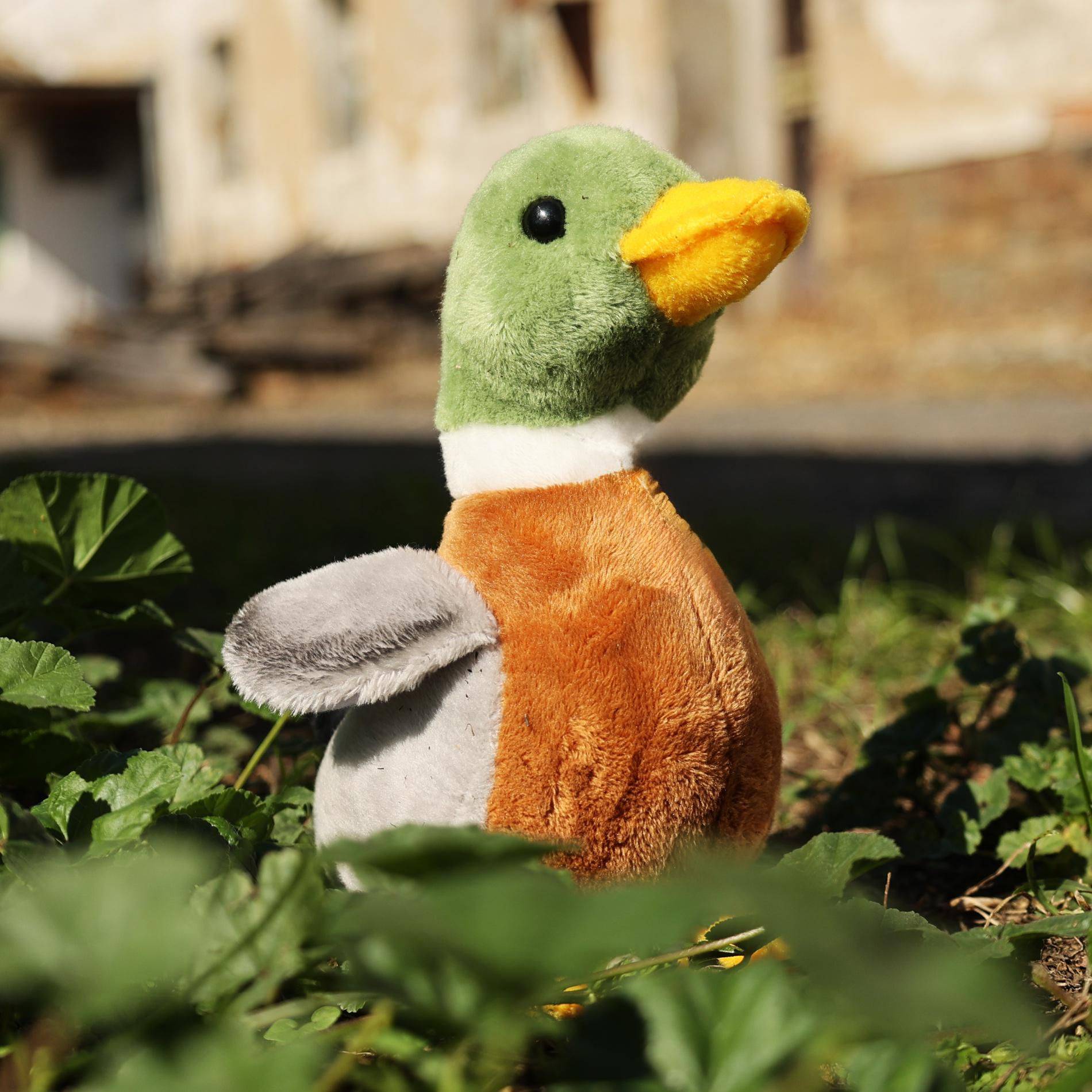 Rappa Plyšová kachna divoká 21 cm ECO-FRIENDLY-3