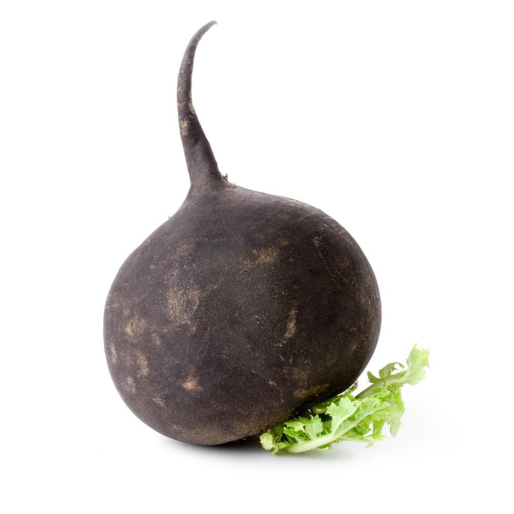 Ovoce a zelenina - Ředkev černá - cca 300 g