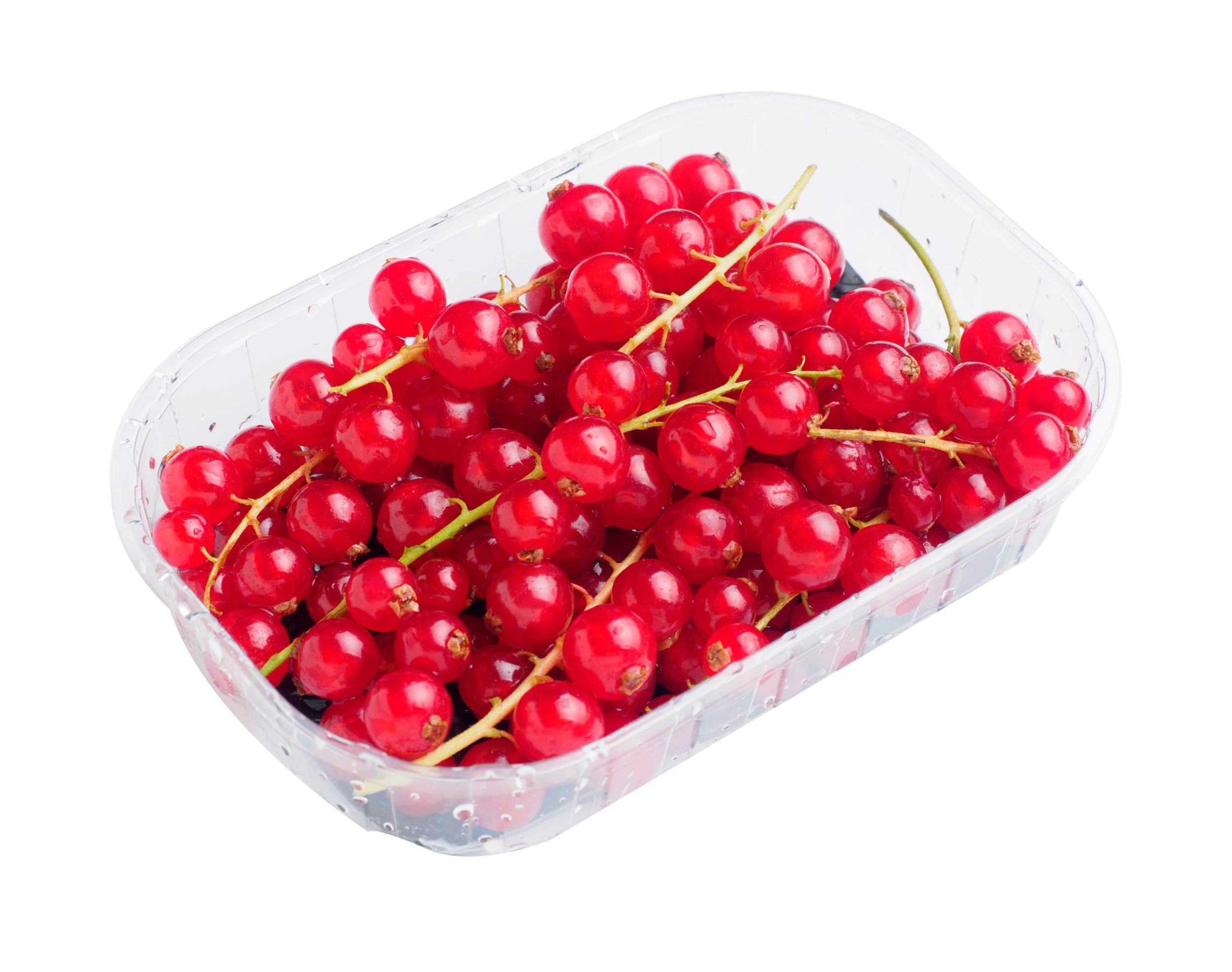 Ovoce a zelenina - Rybíz červený 125 g