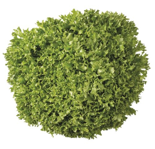 Ovoce a zelenina - Salát Crispy zelený 1ks