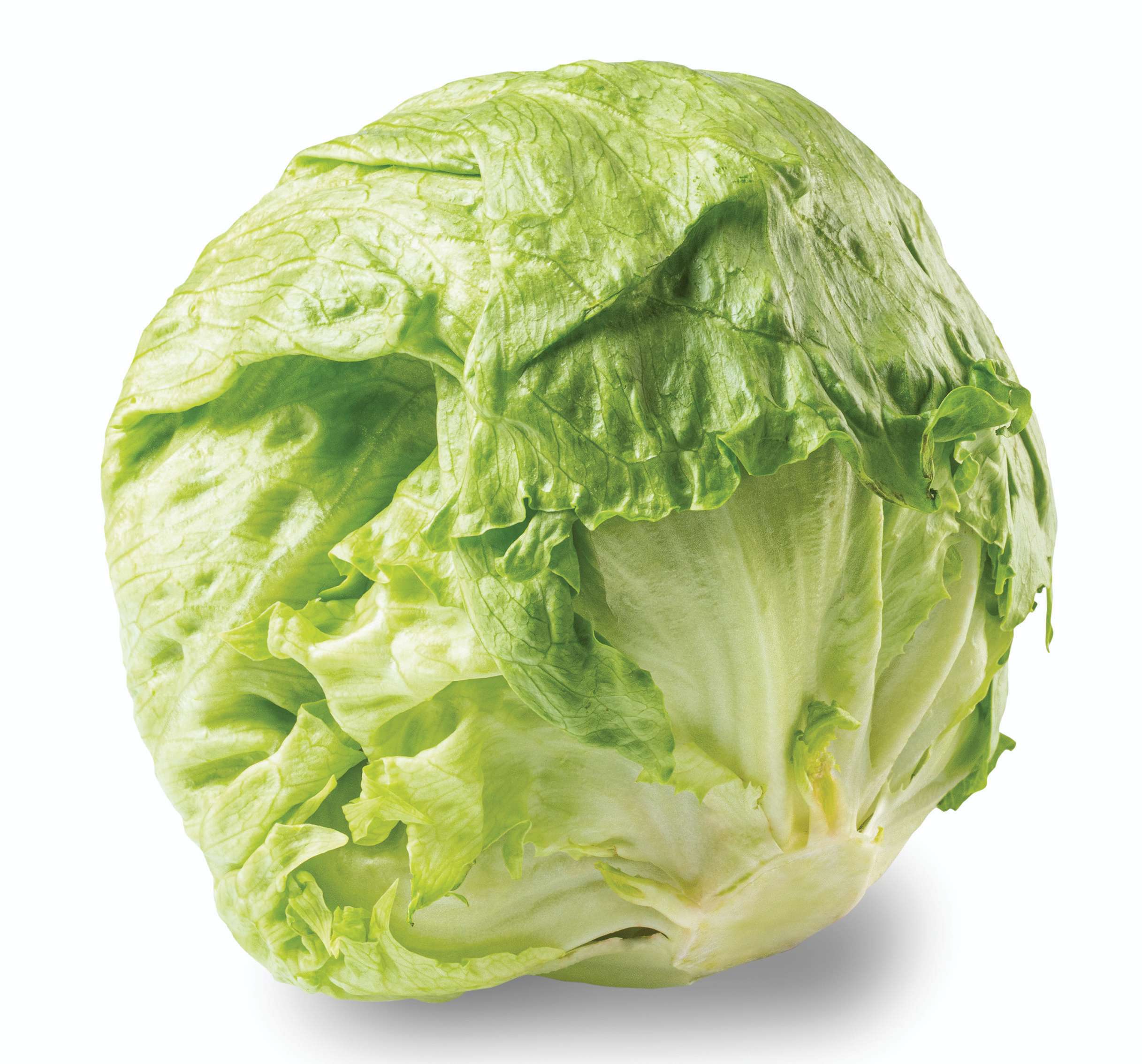Ovoce a zelenina - Salát ledový balený 1 ks