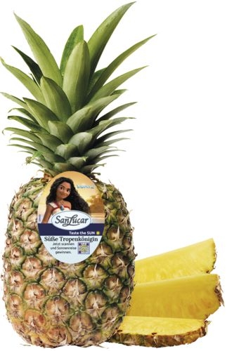 Ovoce a zelenina - San Lucar Ananas 1 ks