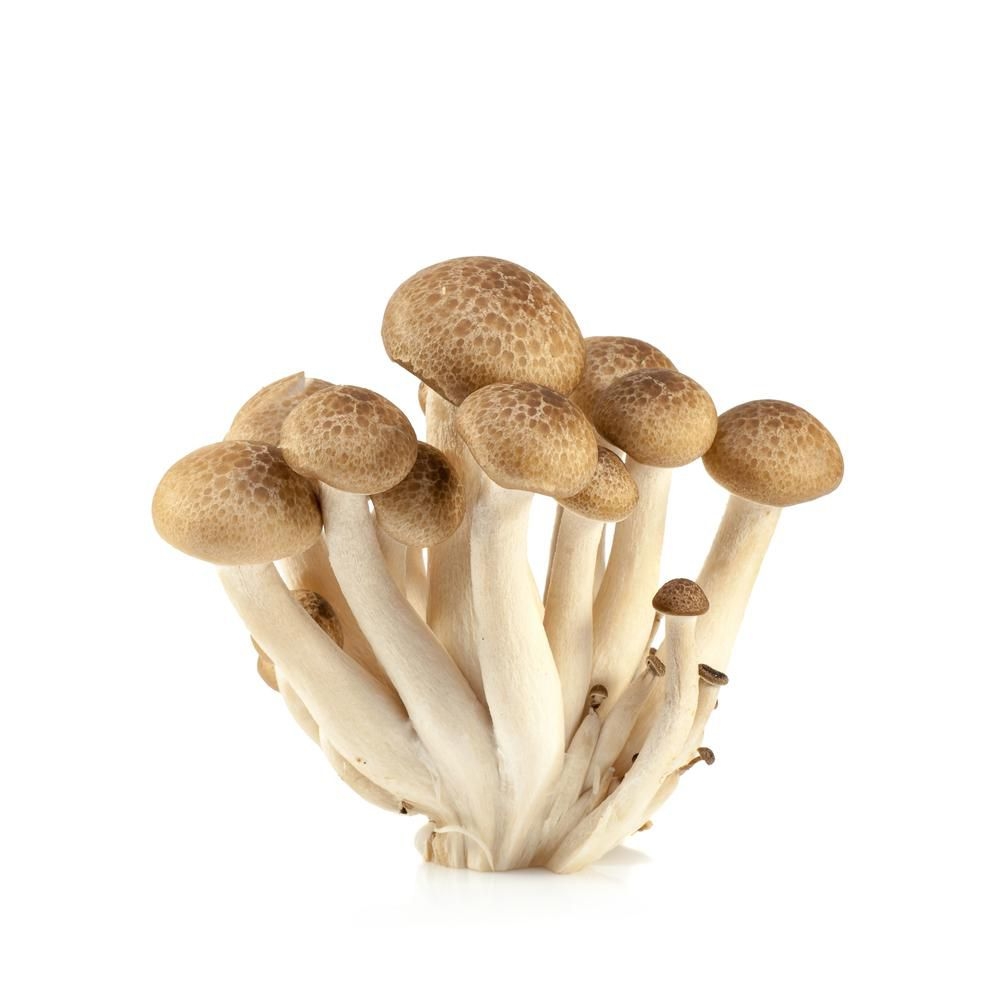 Ovoce a zelenina - Shimeji hnědé 150 g