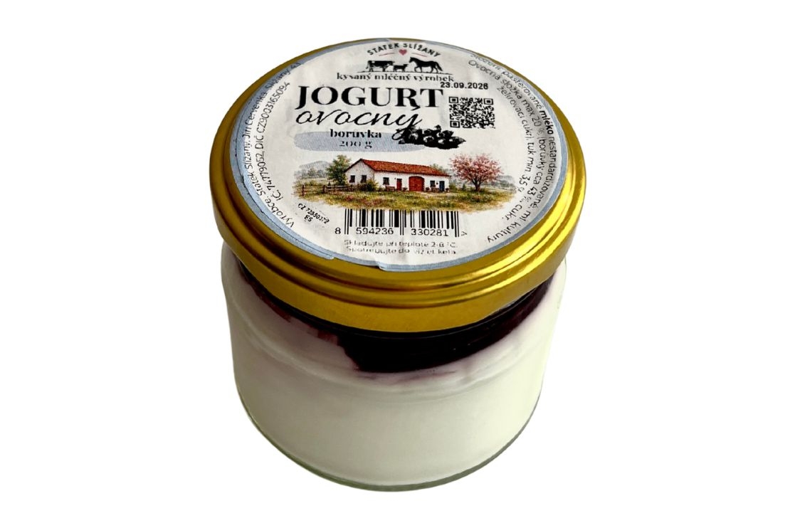 Statek Slížany Jogurt ovocný - Borůvka 200g