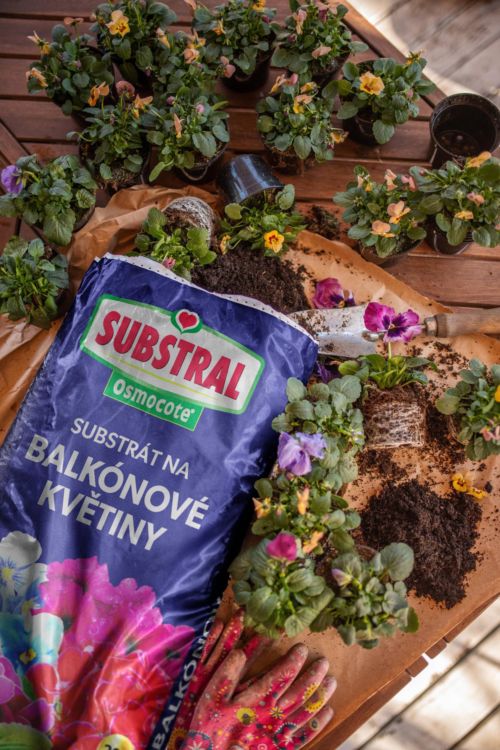 Substral Substrát s hnojivem Osmocote pro balkonové květiny 20l-0